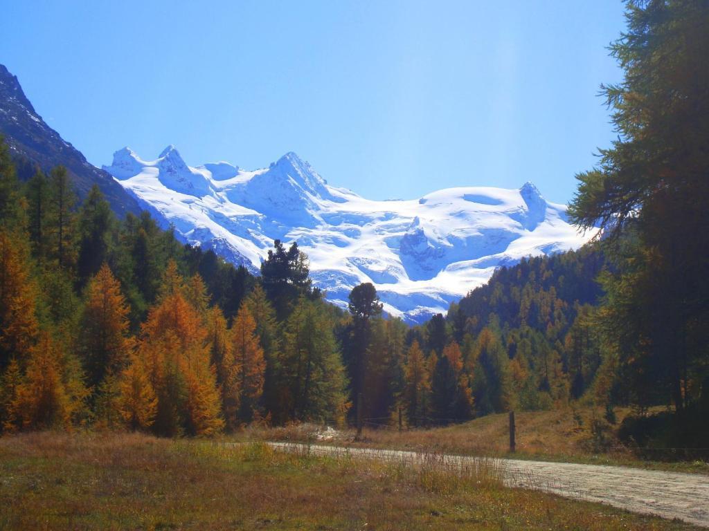 Hotel Roseg-Gletscher Pontresina Exterior foto