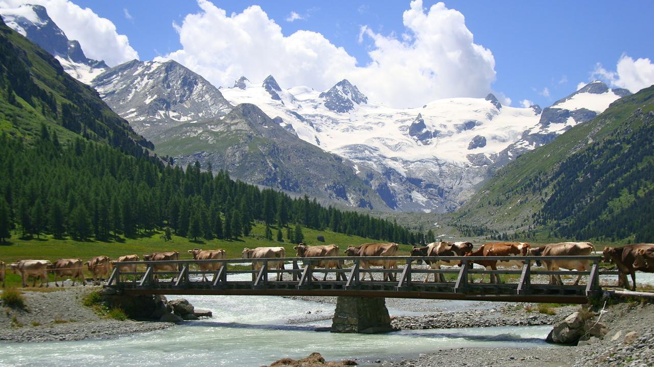 Hotel Roseg-Gletscher Pontresina Exterior foto